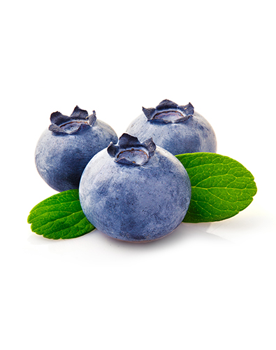 Industrial Blueberry Juice