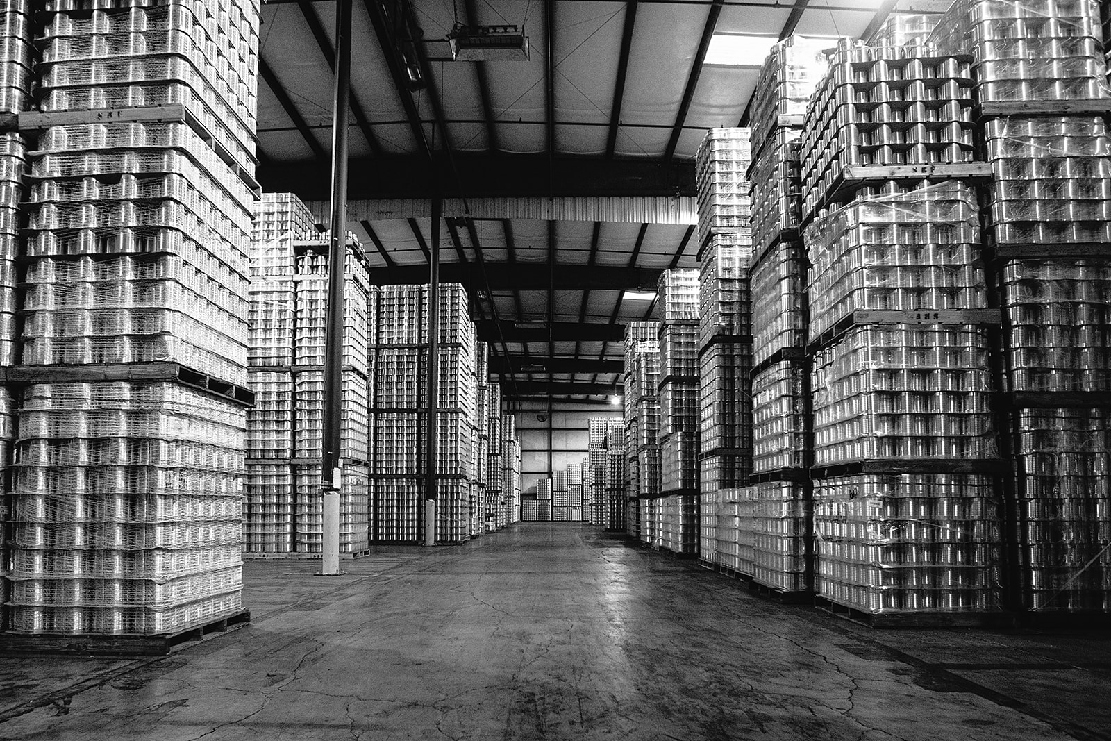 Interpreting NJFC Can Codes For Best By Dates Neil Jones Food Company